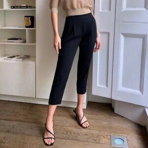 Aritzia Babaton Cohen Pant in Black